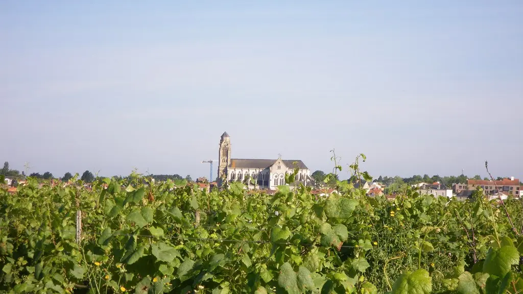 circuit-coteaux-vallet-levignoblenantes-tourisme (5)