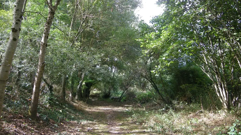 circuit-coteaux-vallet-levignoblenantes-tourisme (7)