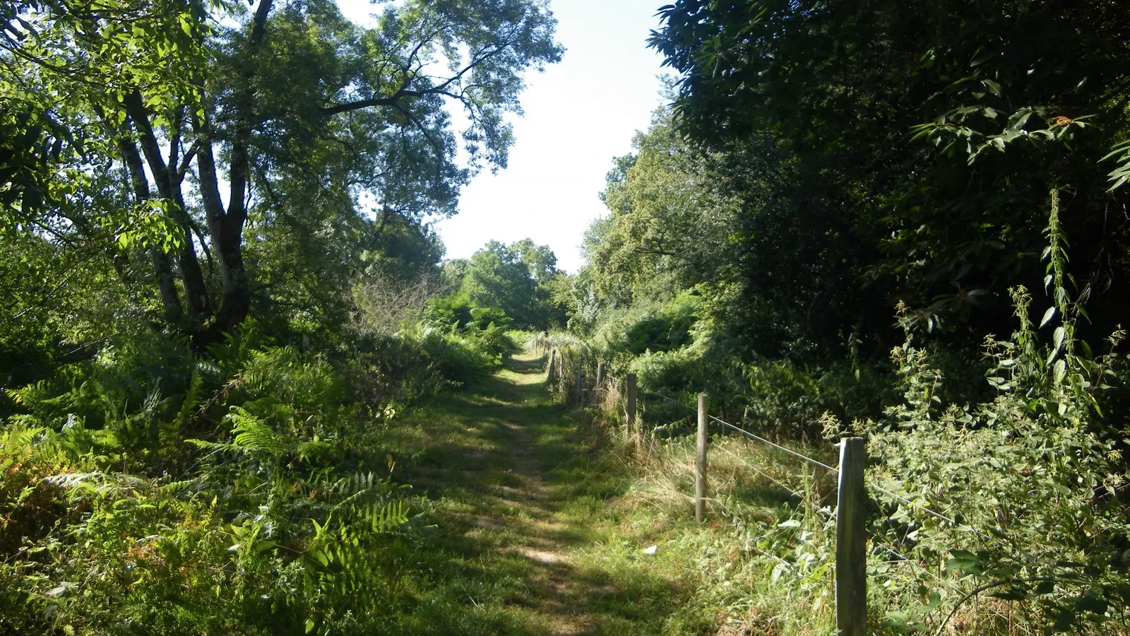 circuit entre maine et gorgeat remouillé (4)