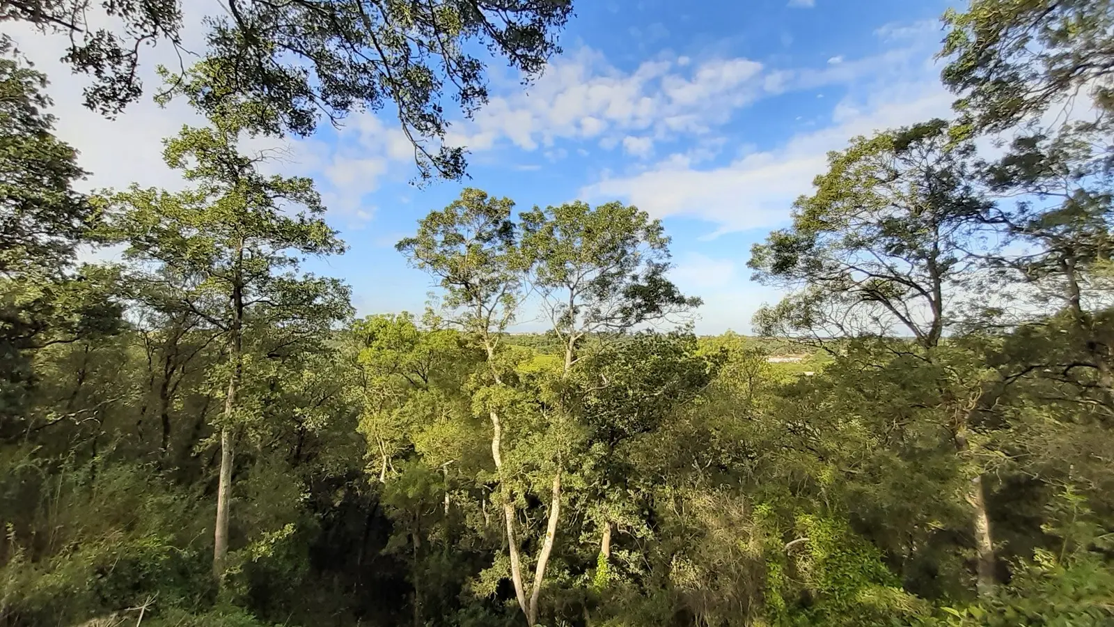 circuit entre moulins et chateaux la haye fouassiere
