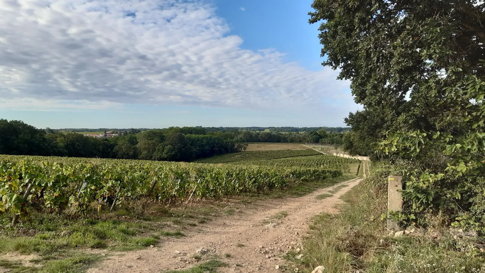 circuit entre moulins et chateaux la haye fouassiere