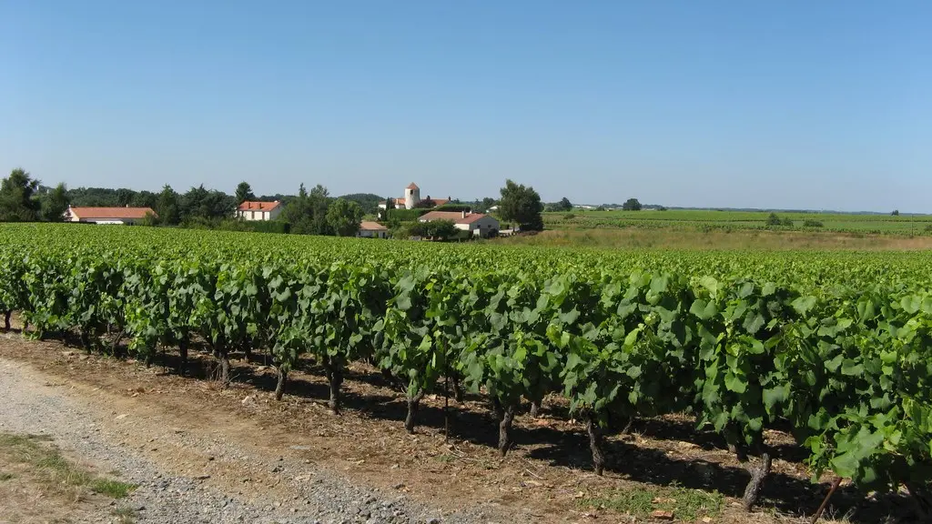 circuit-galloromain-mouzillon-levignobledenantes-tourisme(2)