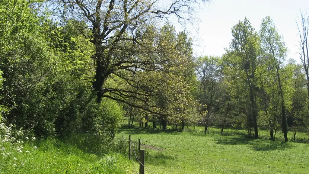 circuit-galloromain-mouzillon-levignobledenantes-tourisme(3)