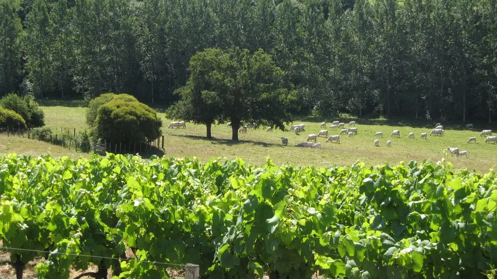 circuit-galloromain-mouzillon-levignobledenantes-tourisme(4)