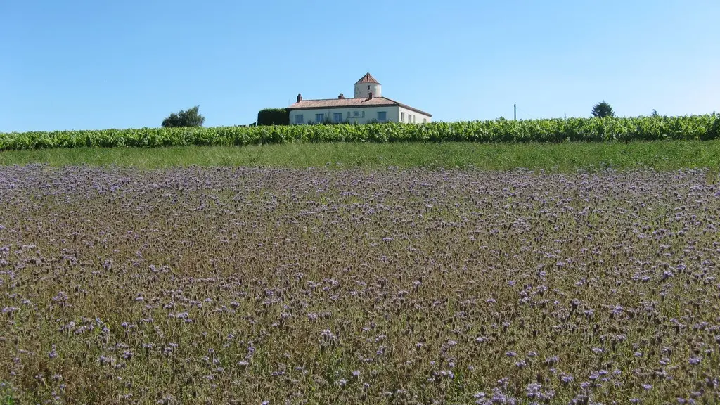 circuit-galloromain-mouzillon-levignobledenantes-tourisme(5)