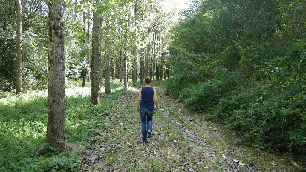 circuit-hte-chapelle-LCBM-levignoblenantes-tourisme