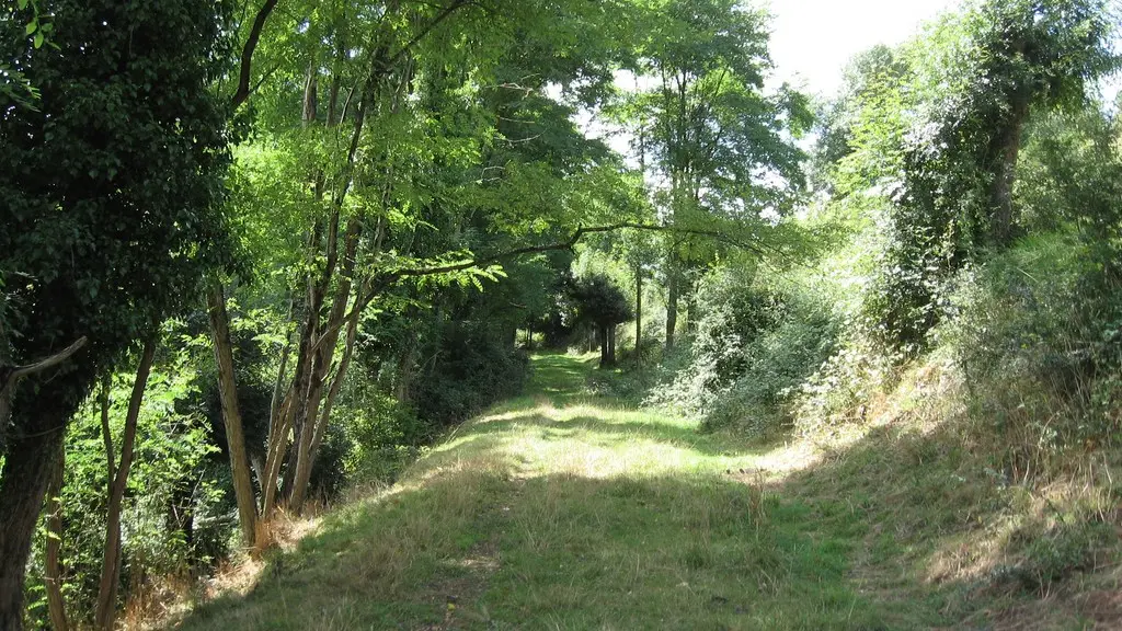 circuit-htedivatte-laremaudiere-levignoblenantes-tourisme (1)