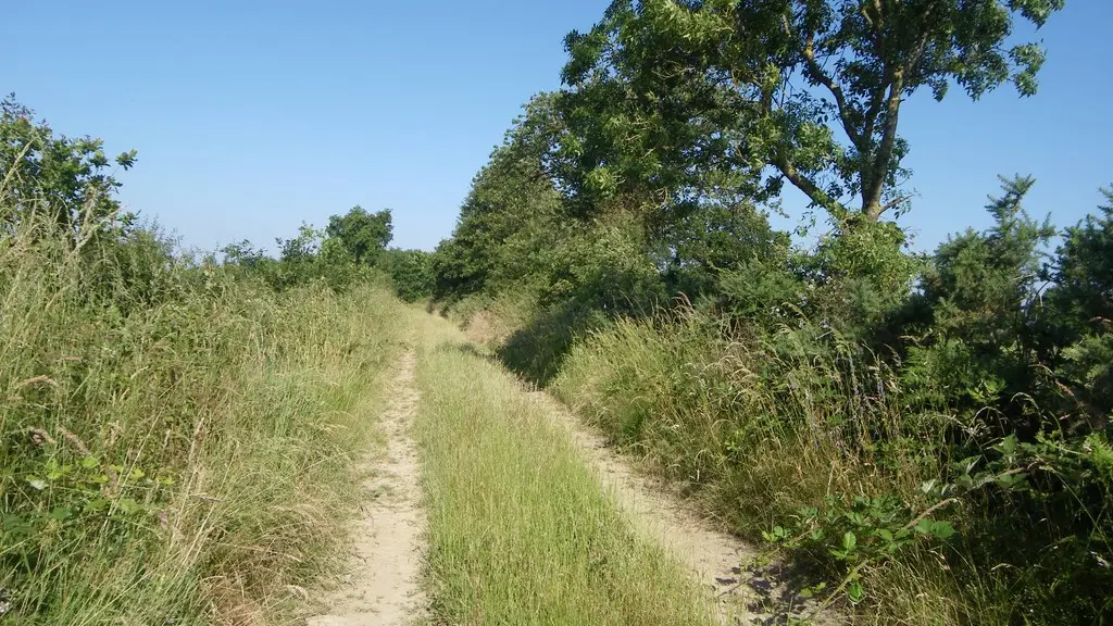 circuit-htedivatte-laremaudiere-levignoblenantes-tourisme (2)