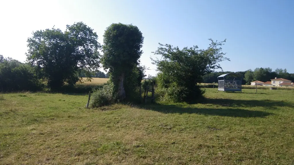 circuit-htedivatte-laremaudiere-levignoblenantes-tourisme (3)