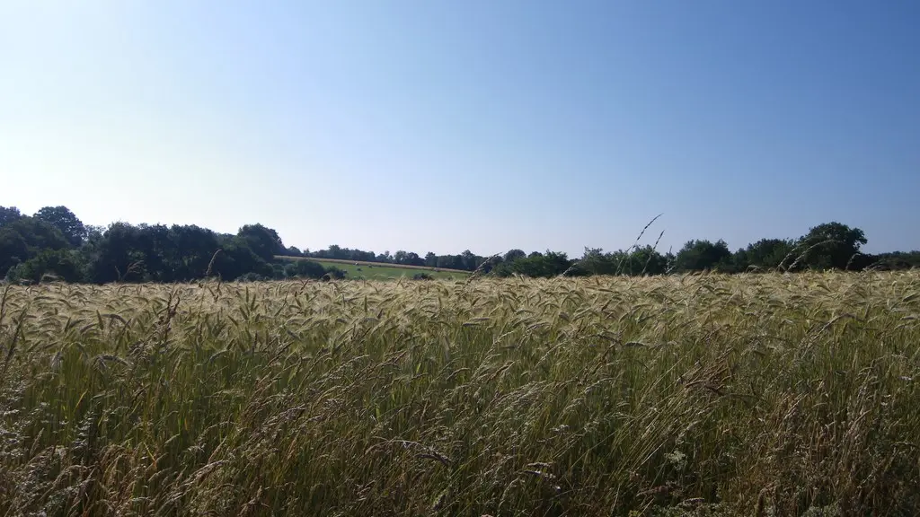 circuit-htedivatte-laremaudiere-levignoblenantes-tourisme (4)