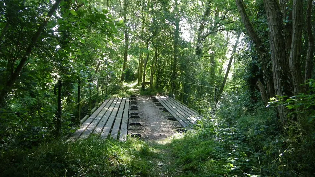 circuit-htedivatte-laremaudiere-levignoblenantes-tourisme (6)