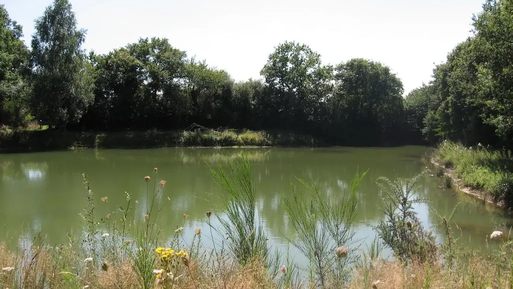 circuit-landes-laremaudiere-levignoblenantes-tourisme (2)