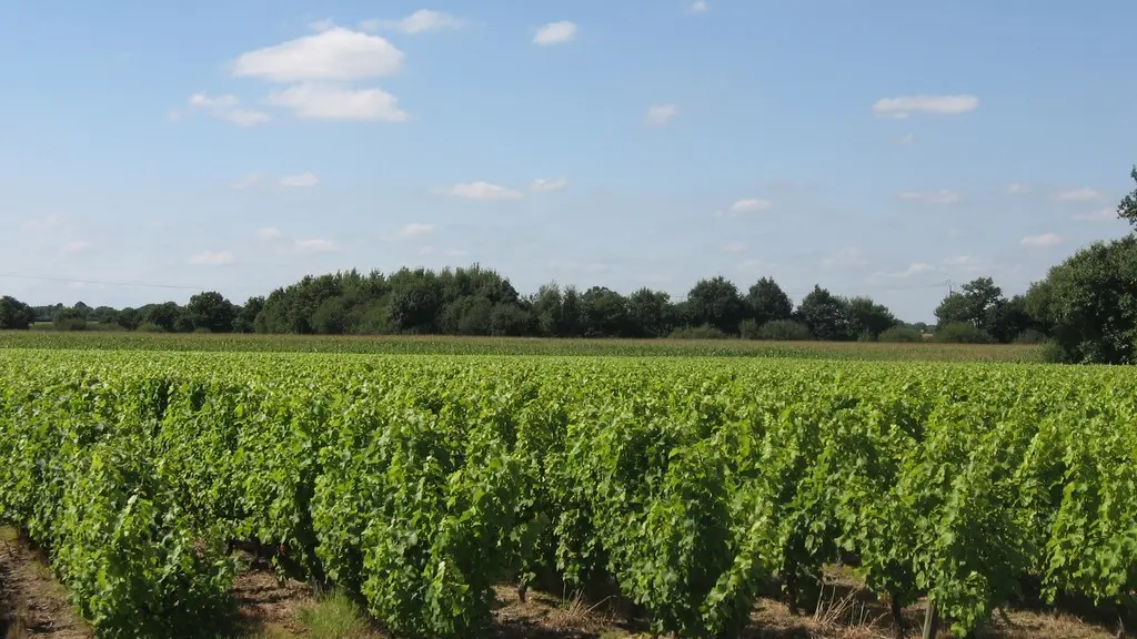 circuit-landes-laremaudiere-levignoblenantes-tourisme (3)