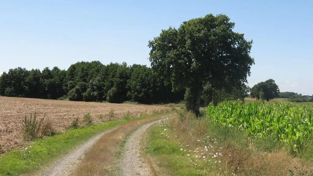 circuit-landes-laremaudiere-levignoblenantes-tourisme (4)