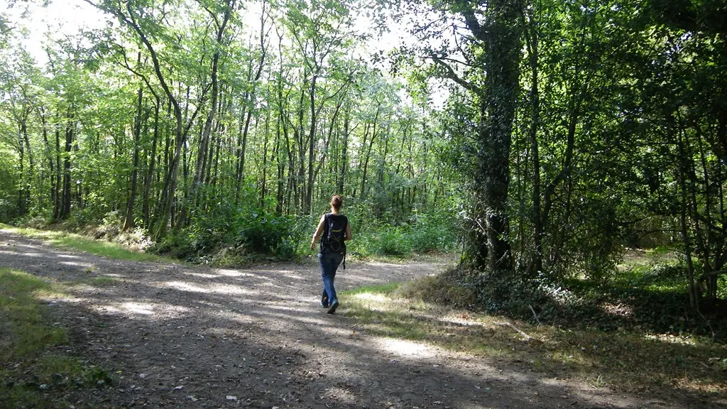 circuit-les-ombrages-le-landreau-levignoblenantes-tourisme (4)