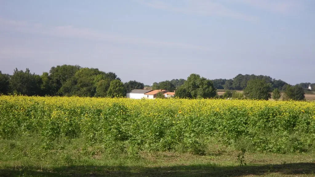 circuit-les-ombrages-le-landreau-levignoblenantes-tourisme (5)