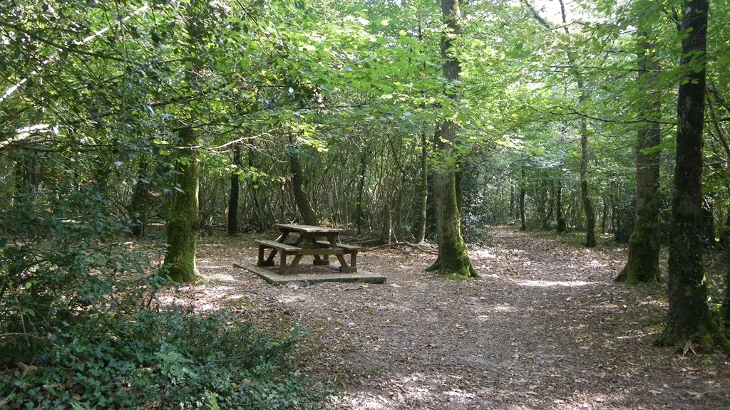 circuit-les-ombrages-le-landreau-levignoblenantes-tourisme (7)