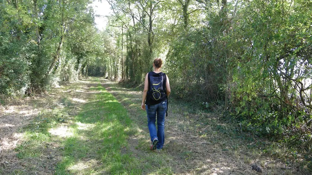 circuit-les-ombrages-le-landreau-levignoblenantes-tourisme (8)