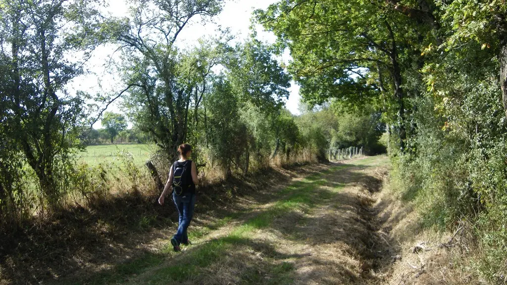 circuit-les-ombrages-le-landreau-levignoblenantes-tourisme (9)