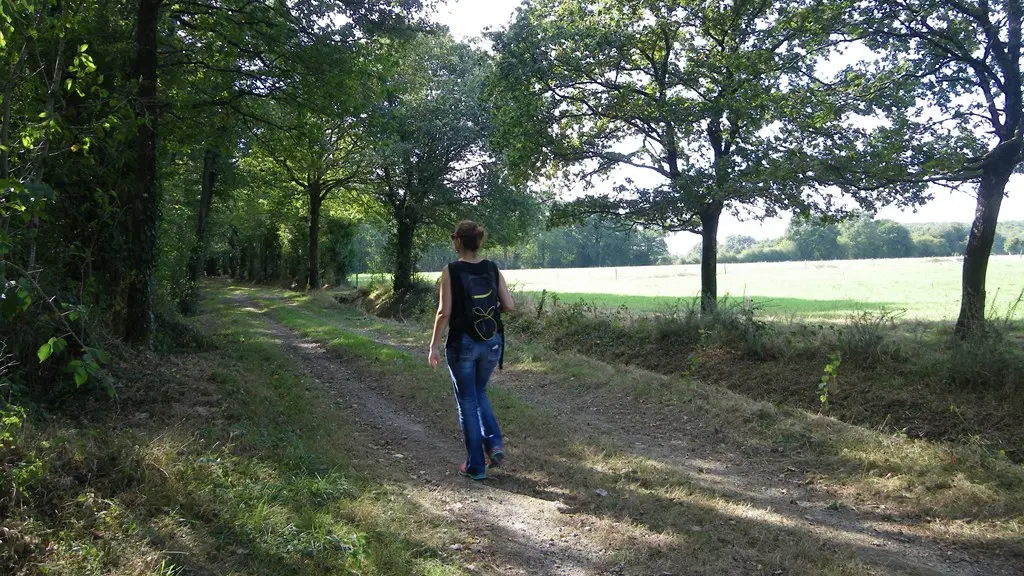 circuit-les-ombrages-le-landreau-levignoblenantes-tourisme (3)