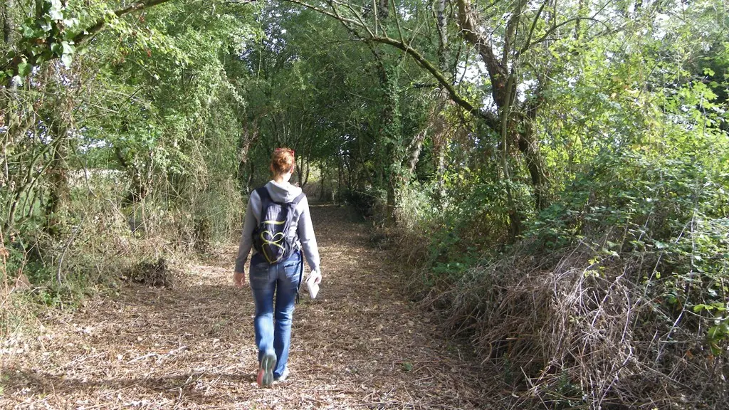 circuit-les-piliers-le-landreau-levignoblenantes-tourisme (2)