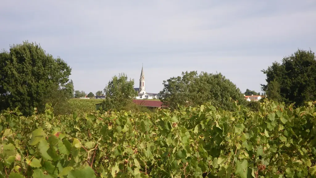 circuit-les-piliers-le-landreau-levignoblenantes-tourisme (3)