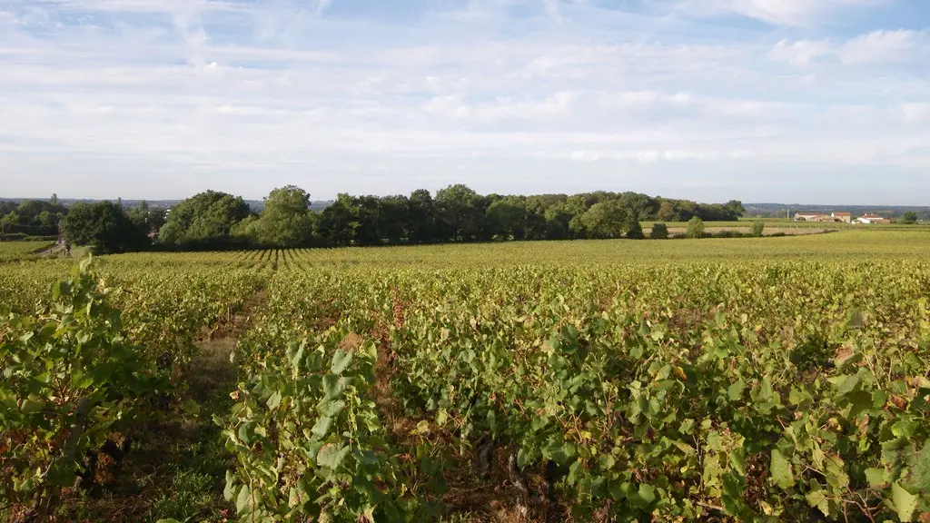 circuit-les-piliers-le-landreau-levignoblenantes-tourisme (4)