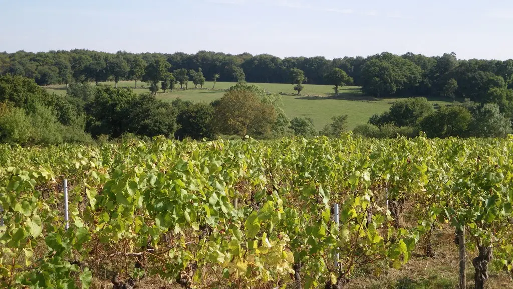 circuit-les-piliers-le-landreau-levignoblenantes-tourisme (6)