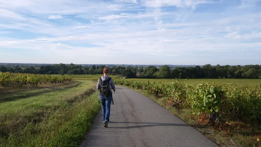 circuit-les-piliers-le-landreau-levignoblenantes-tourisme (7)