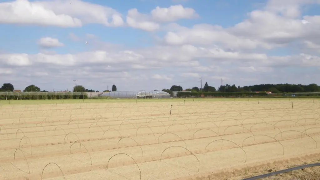 circuit-loire-stdeconcelles-levignoblenantes-tourisme (1)