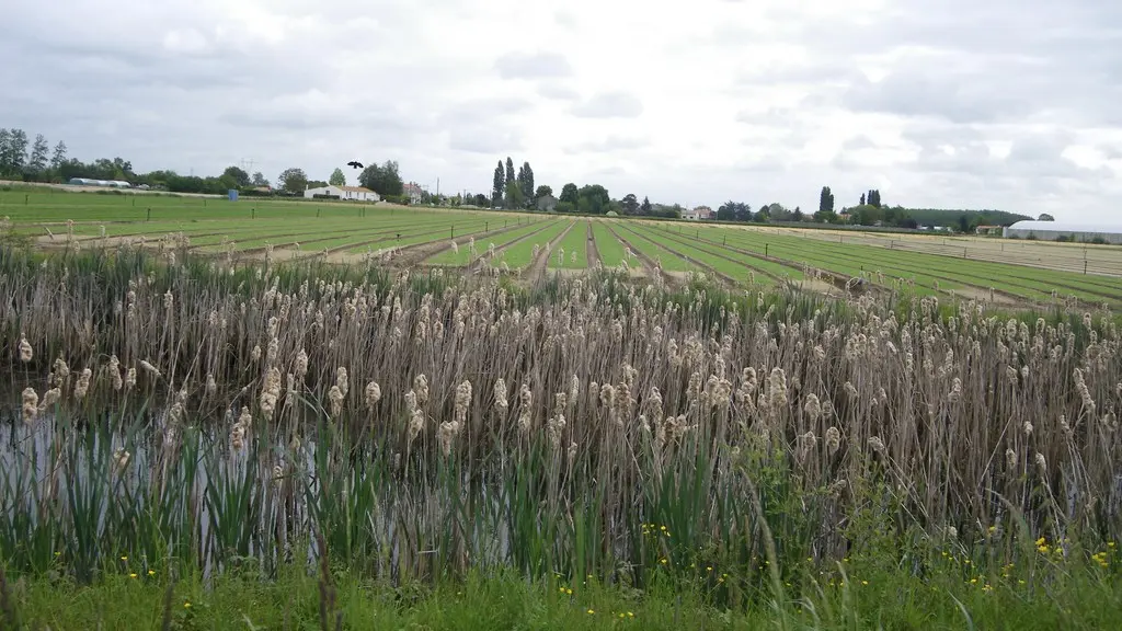 circuit-loire-stdeconcelles-levignoblenantes-tourisme (6)