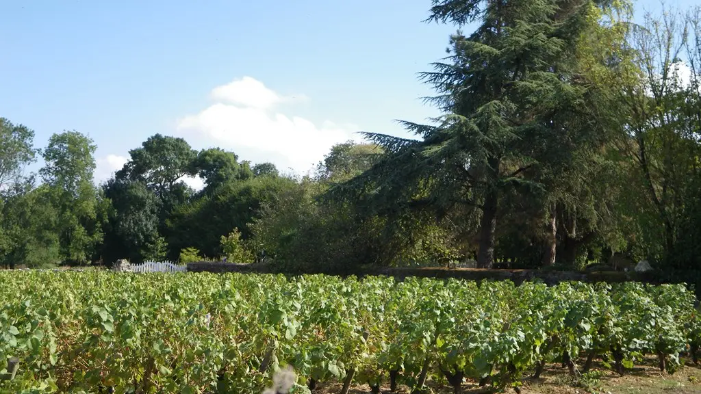 circuit-petitanjou-stjulien-levignoblenantes-tourisme (1)