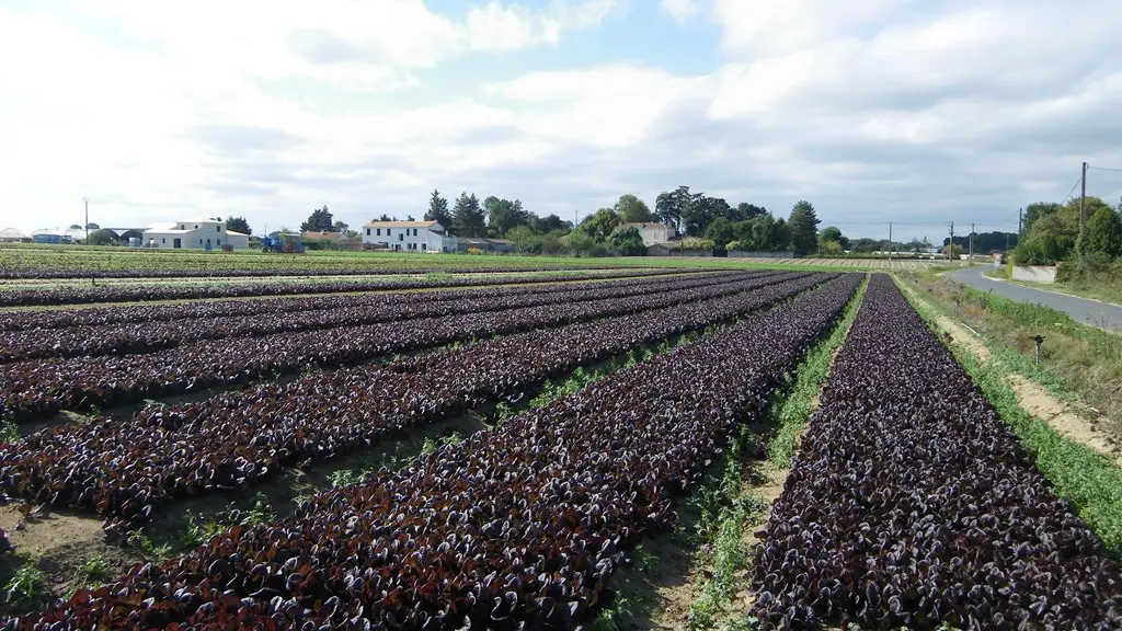 circuit-petitanjou-stjulien-levignoblenantes-tourisme (12)