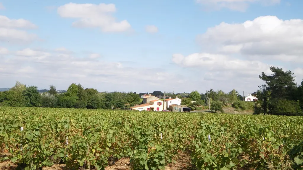 circuit-petitanjou-stjulien-levignoblenantes-tourisme (5)