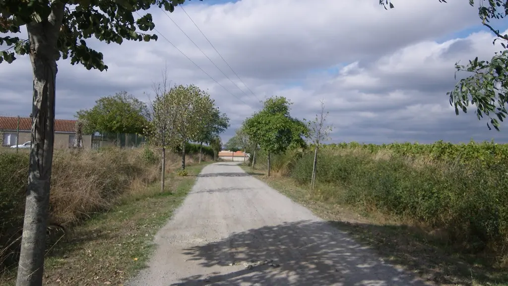 circuit-petitanjou-stjulien-levignoblenantes-tourisme (6)