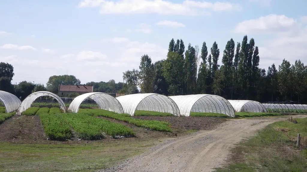 circuit-petitanjou-stjulien-levignoblenantes-tourisme (8)