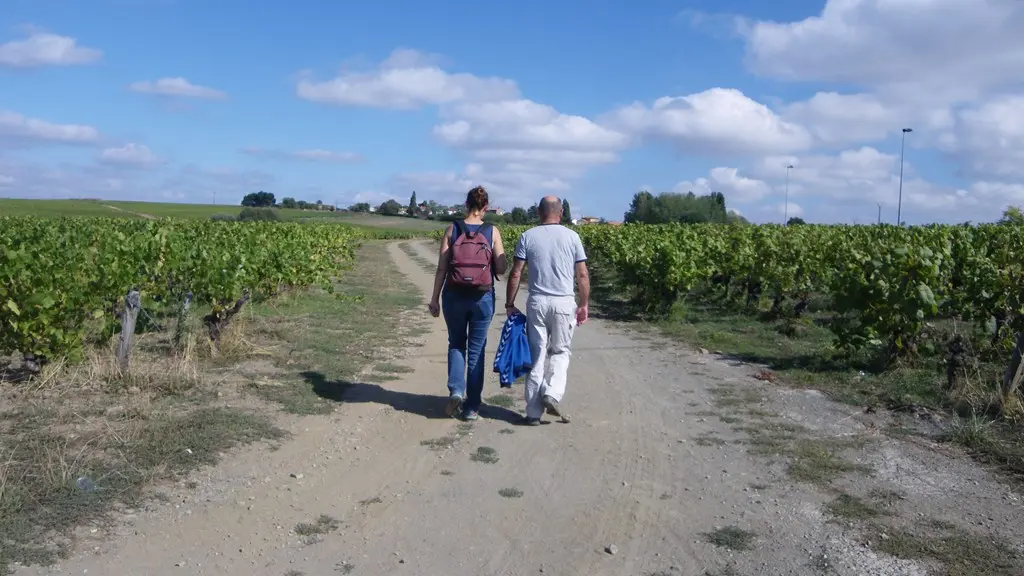 circuit-petitanjou-stjulien-levignoblenantes-tourisme (9)