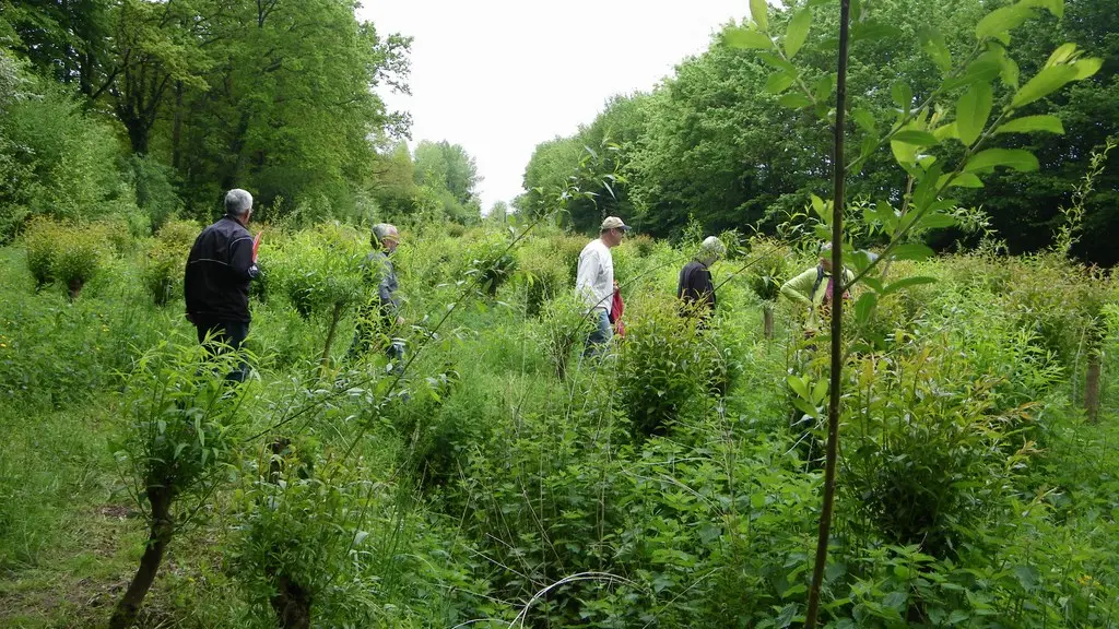 circuit-robiniere-laremaudiere-levignoblenantes-tourisme (1)