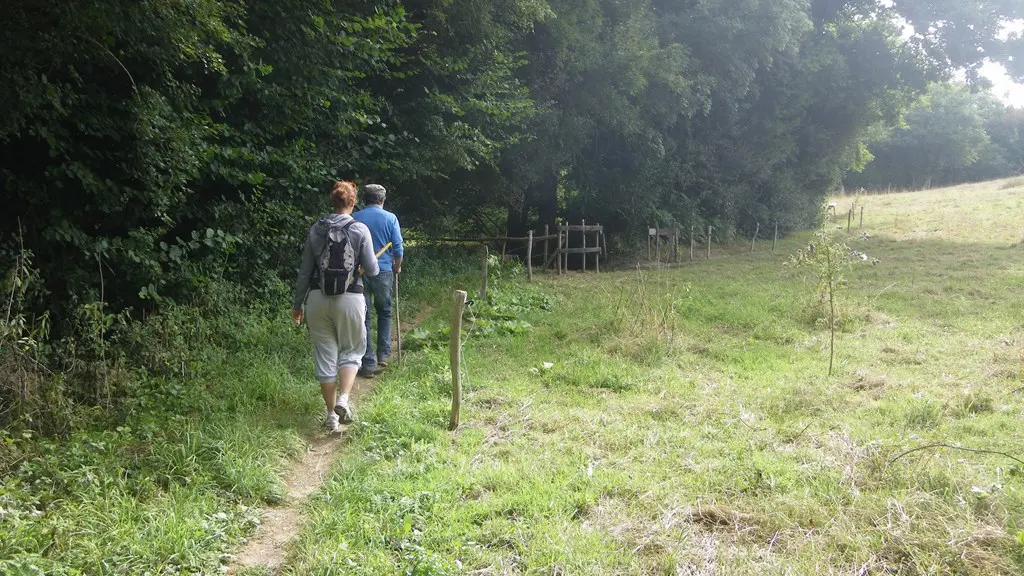 circuit-robiniere-laremaudiere-levignoblenantes-tourisme (2)