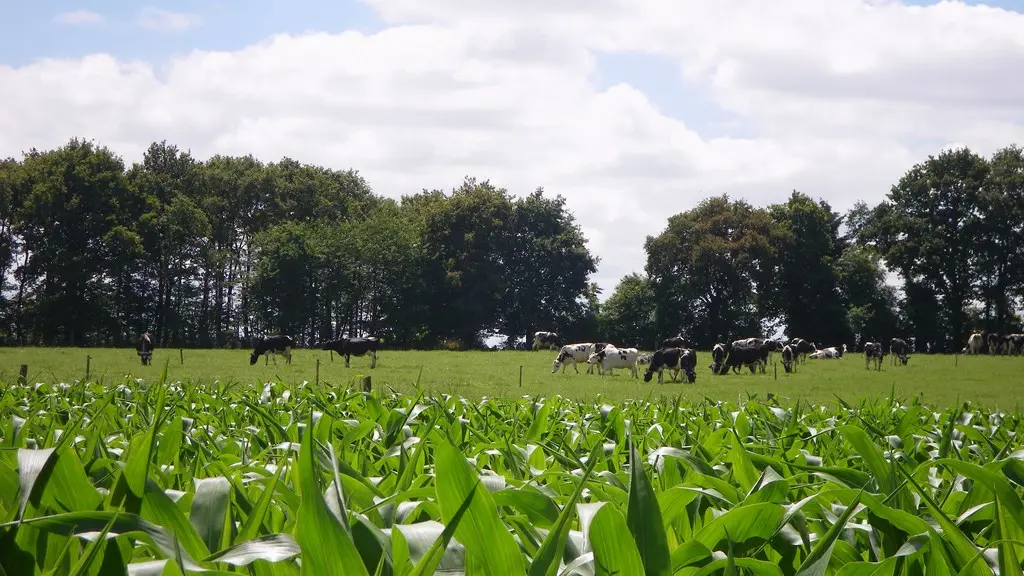 circuit-robiniere-laremaudiere-levignoblenantes-tourisme (3)