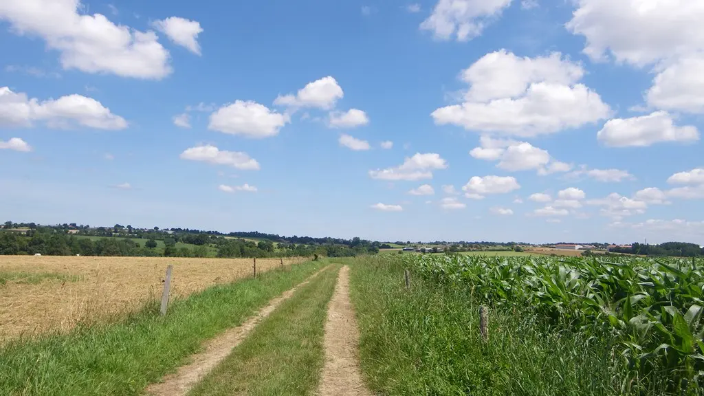 circuit-robiniere-laremaudiere-levignoblenantes-tourisme (4)