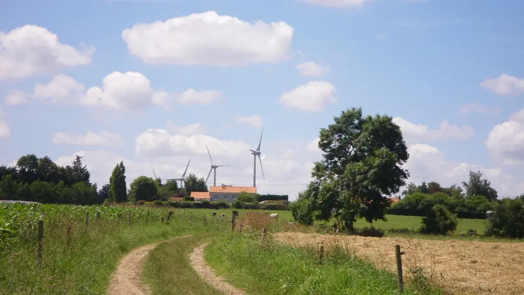 circuit-robiniere-laremaudiere-levignoblenantes-tourisme (5)