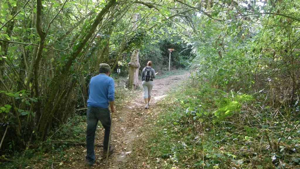 circuit-robiniere-laremaudiere-levignoblenantes-tourisme (6)