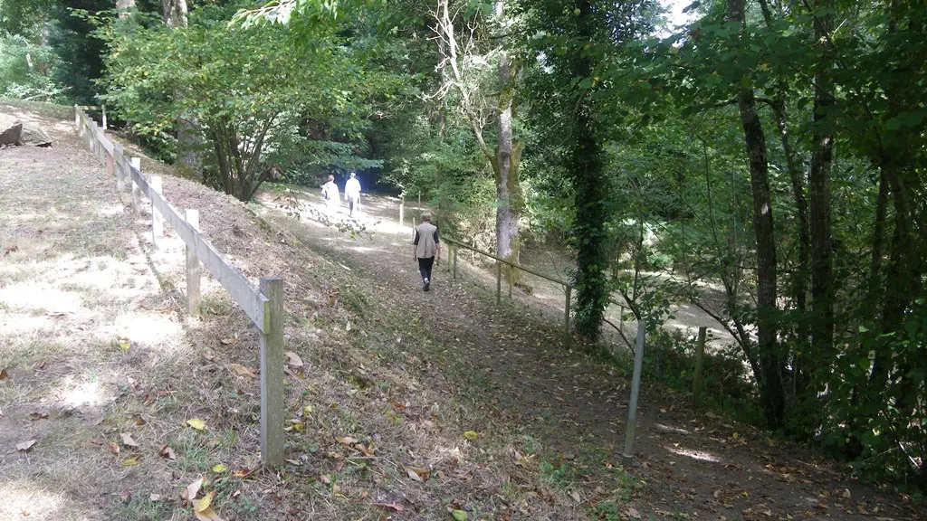 circuit-robiniere-laremaudiere-levignoblenantes-tourisme (7)