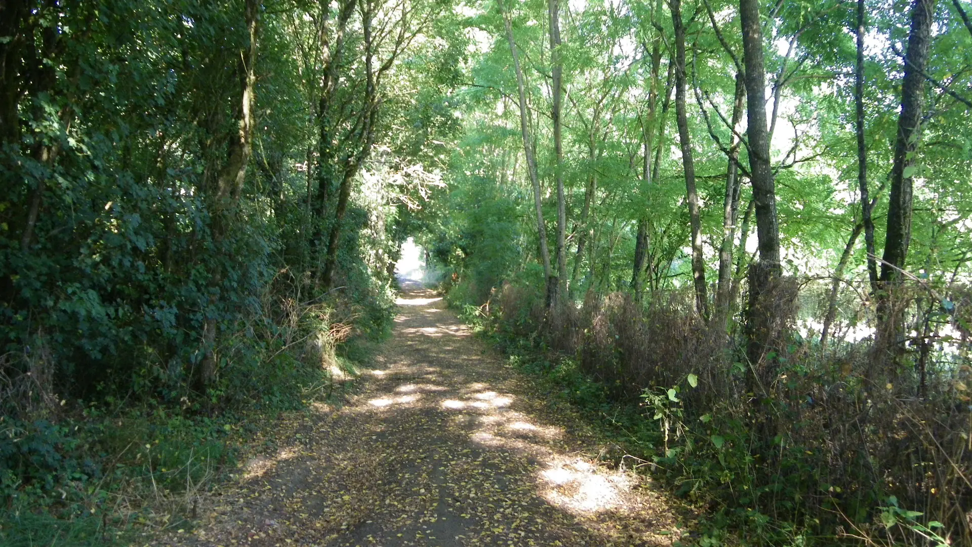 circuit-sangueze-le-pallet-levignobledenantes-tourisme(4)