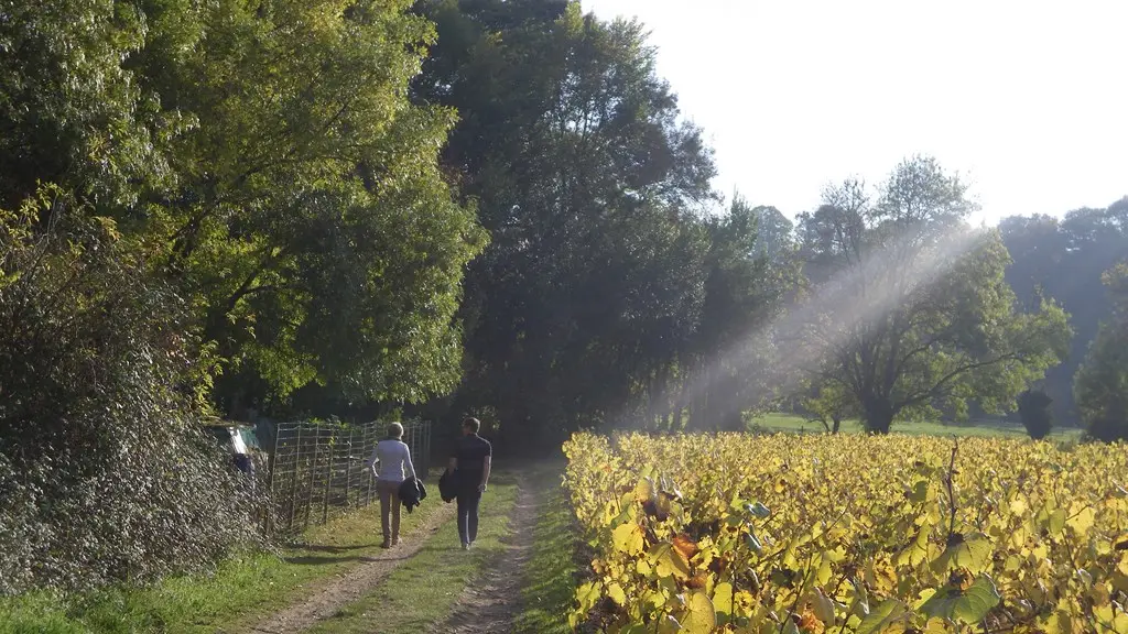 circuit-sevre-lepallet-levignoblenantes-tourisme (2)