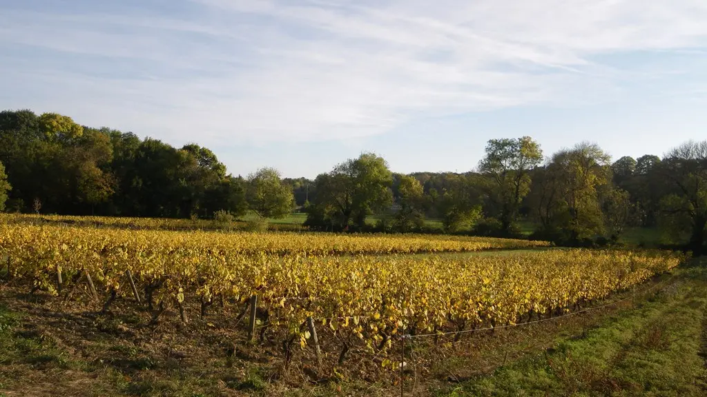 circuit-sevre-lepallet-levignoblenantes-tourisme (4)