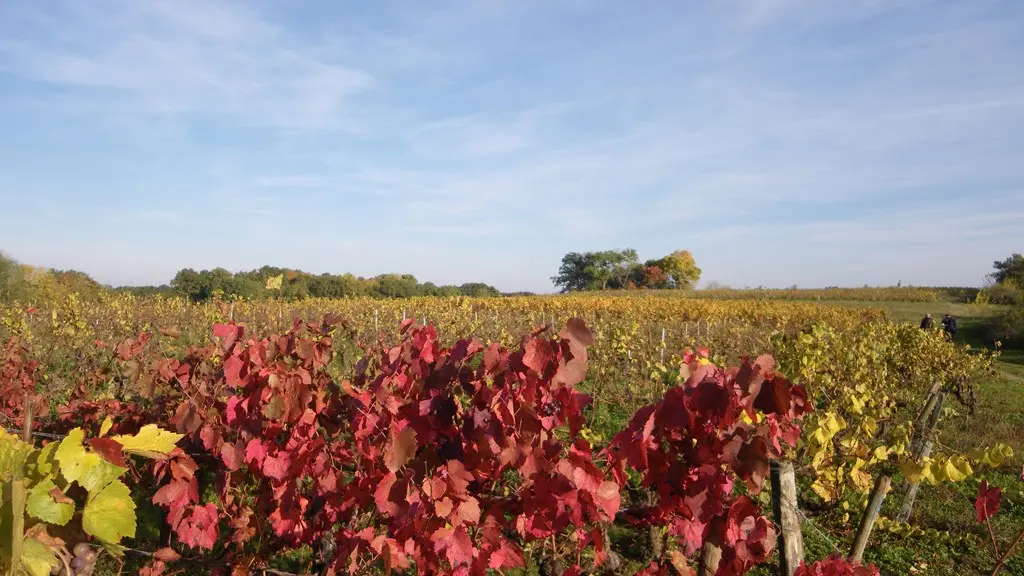 circuit-sevre-lepallet-levignoblenantes-tourisme (5)