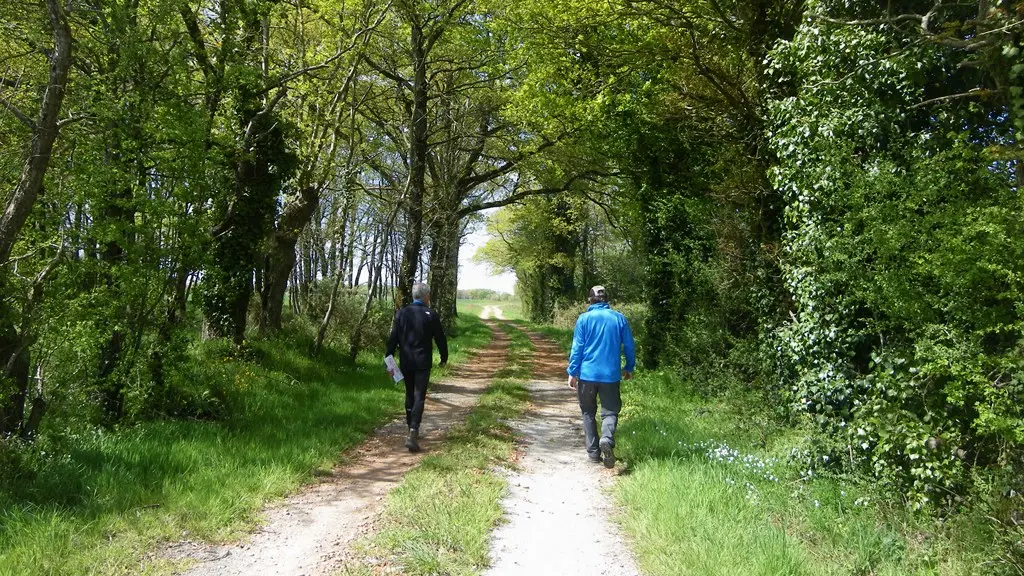 circuit-terres-vignes-st-lumine-clisson-levignoblenantes-touris (14)