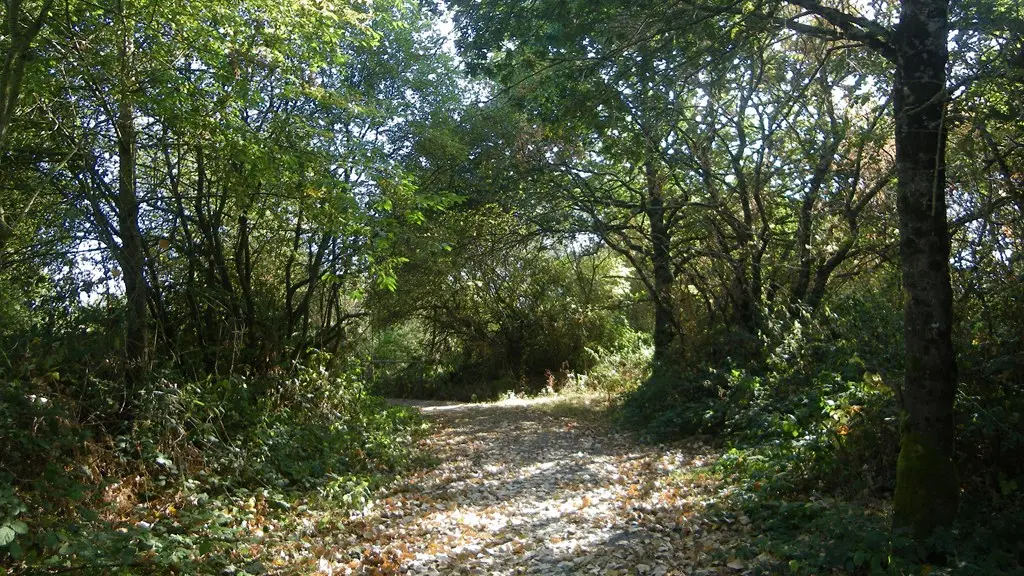 circuit-terres-vignes-st-lumine-clisson-levignoblenantes-touris (6)